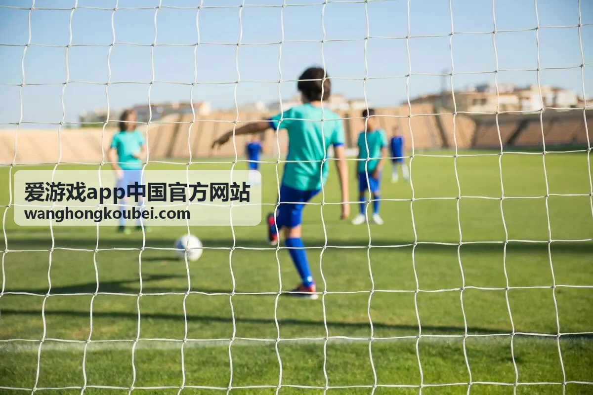 爱游戏app中国官方网站版本信息界面缩略图